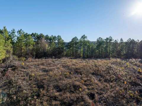 Lot 9 Polk Road 617, Mena, AR 71953