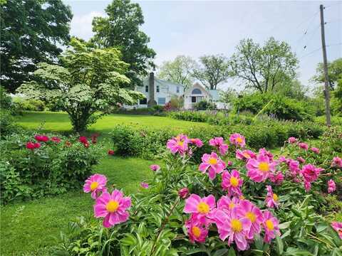226 Hines Road, Enfield, NY 14867