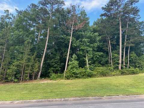 0 Dockwell Drive, Tunnel Hill, GA 30755