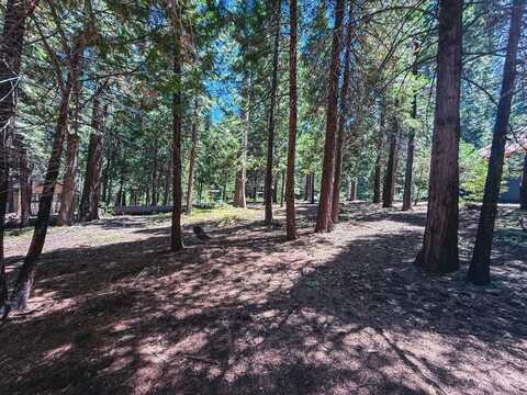 2855 Zuni Drive, Dorrington, CA 95223