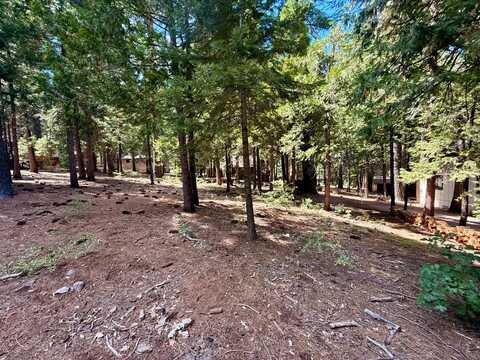 2855 Zuni Drive, Dorrington, CA 95223