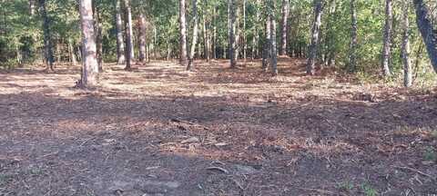 Lot1 Pee Dee School Rd., Marion, SC 29571