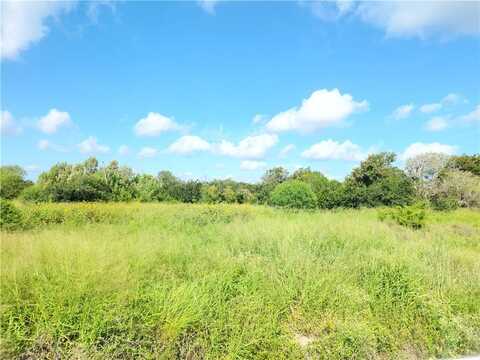 County Road 2095, Odem, TX 78370