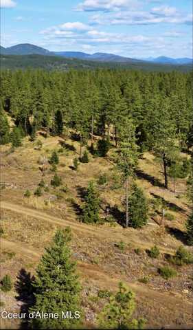78 Wyatt Ln, Spirit Lake, ID 83869
