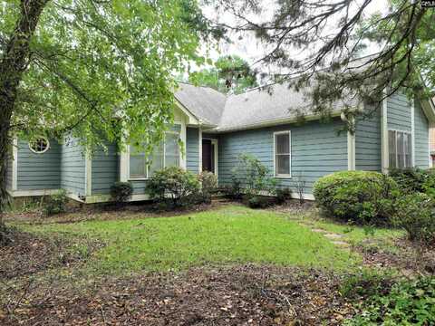 201 Willowood Parkway, Chapin, SC 29036