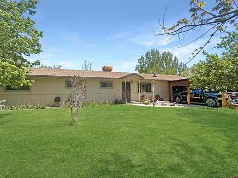 619 Cottonwood Lane, Hotchkiss, CO 81419