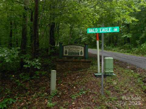 Bald Eagle Drive, Hendersonville, NC 28792