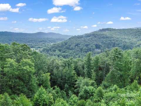 Davenport Hills Road, Hendersonville, NC 28739