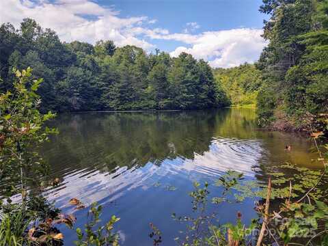 736 English Heifer Cove Road, Flat Rock, NC 28731