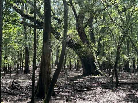 117th Pl, Branford, FL 32008