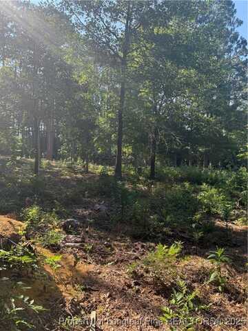 Stephanie Street, Southern Pines, NC 28387