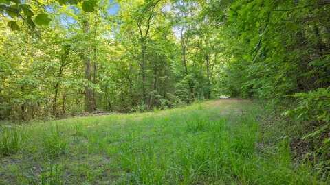Santeetlah Ridge, Franklin, NC 28734