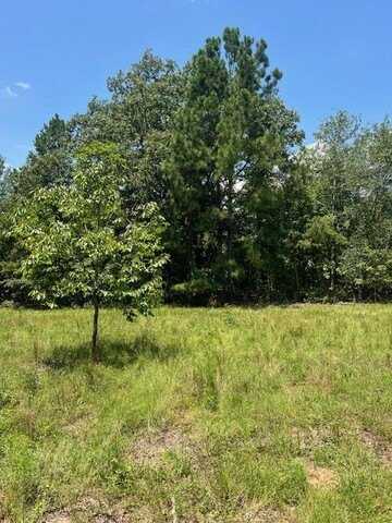 0 Gough Road, Louisville, GA 30434
