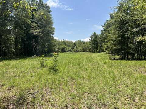 0 Gough Road, Louisville, GA 30434