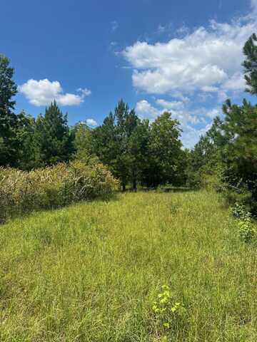 0 Thomson Highway, Warrenton, GA 30828
