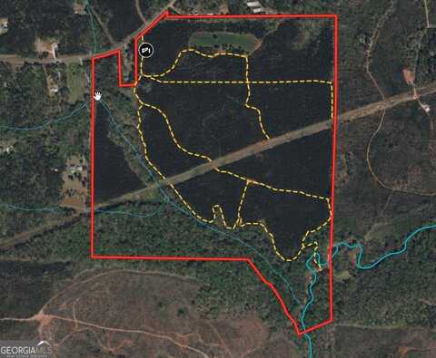 180.14 Ac Johnson Mill, Hamilton, GA 31811