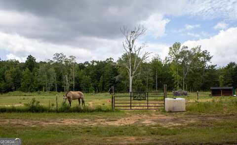 1130 Piedmont, The Rock, GA 30285