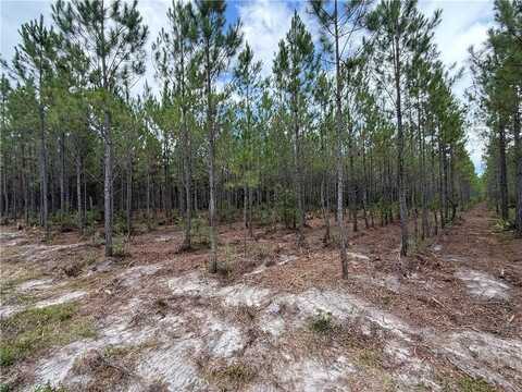 0 (lot 2) Corbitt Road, Manor, GA 31550