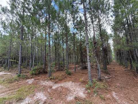 0 (lot 3) Corbitt Road, Manor, GA 31550