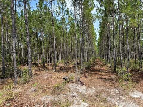 0 (lot 6) Corbitt Road, Manor, GA 31550