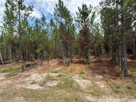 0 (lot 4) Corbitt Road, Manor, GA 31550