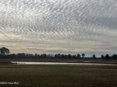37 Pine Tree Point, Snow Hill, NC 28580