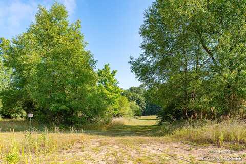 10365 E Klees Road, Crystal, MI 48818