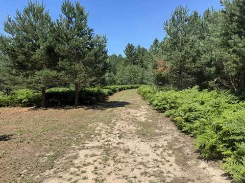 N Coates Highway, Harrietta, MI 49638