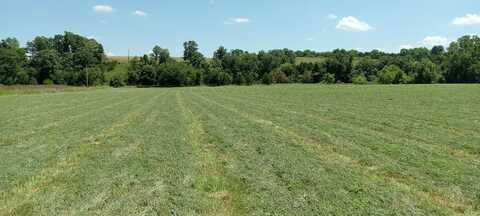 000 5 Cemetery Road, Mansfield, MO 65704