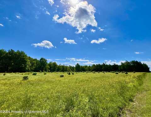 9755 State Route 171, Union Dale, PA 18470