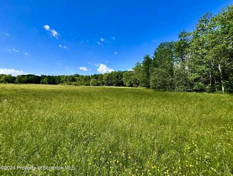 9755 State Route 171, Union Dale, PA 18470