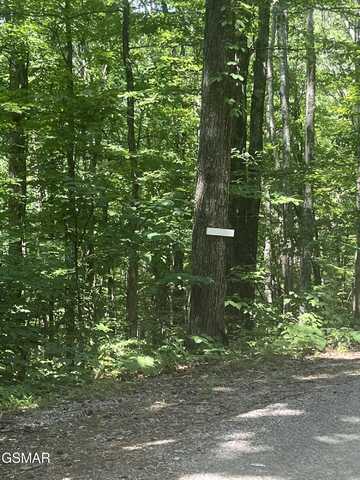 Lot 10 Windswept Circle, Newport, TN 37821