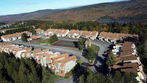 30 Shamrock, Snowshoe, WV 26209