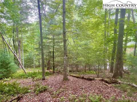 Tbd Laurelwood Drive, West Jefferson, NC 28684