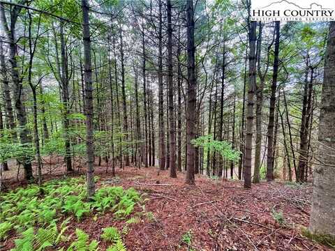 Tbd Daniel Pierce Road, West Jefferson, NC 28694