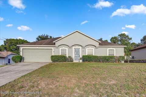 5396 Berrien Avenue, Spring Hill, FL 34608