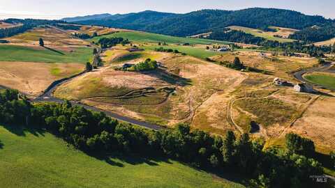 1070 Chaney, Viola, ID 83872