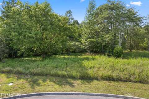 Lot 77 Creekside Drive, Harriman, TN 37748