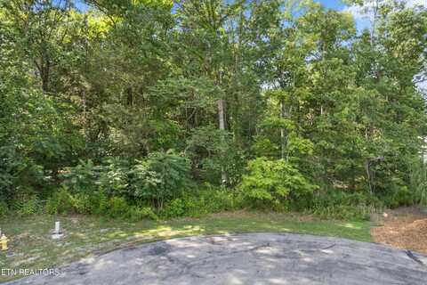 Lot 97 Bay Shore Drive, Rockwood, TN 37854