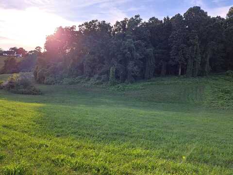 Lot 56 Cow Poke Lane, Rutledge, TN 37861