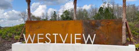 5676 Ficus Aurea Street, Kissimmee, FL 34758
