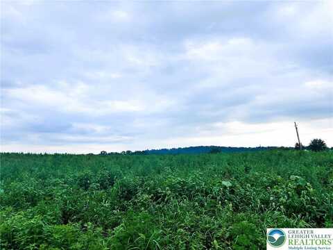 144 Wisser Road, Greenwich Twp, PA 19534