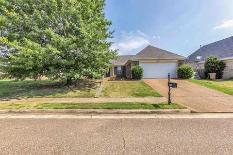 10222 NEEDLE PINE, Cordova, TN 38016