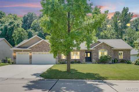 313 Autumn Ridge Drive, Collinsville, IL 62234