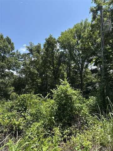 Plat 9 Lots 13 and 14 Deer Run, Van Buren, MO 63965