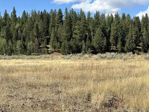 13 Fawnlilly Drive, McCall, ID 83638