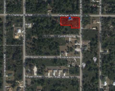 966 St NW CHALLENGER, Lake Placid, FL 33852