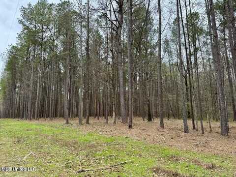 1 Robinson Road, Canton, MS 39046