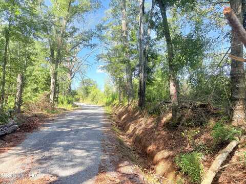 R T Womack Road, Mendenhall, MS 39114