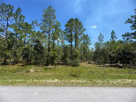 SE 105TH LANE, DUNNELLON, FL 34431